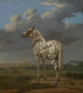 paulus potter, art, painting, oil on canvas, horse, portrait, nature, outside, sky, clouds, country, countryside, horse, horse, horse, horse, horse