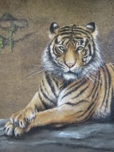 tiger, wall art, wall, zoo, berlin, lichtenberg, germany, animal, nature, wildlife, animal park berlin, capital city, painting, beautify, wall painting, to paint, draw, drawing