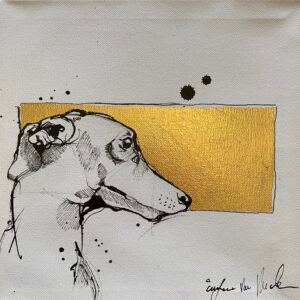 Italian Greyhound Portrait