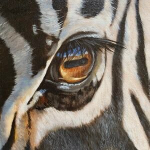 Zebra eye